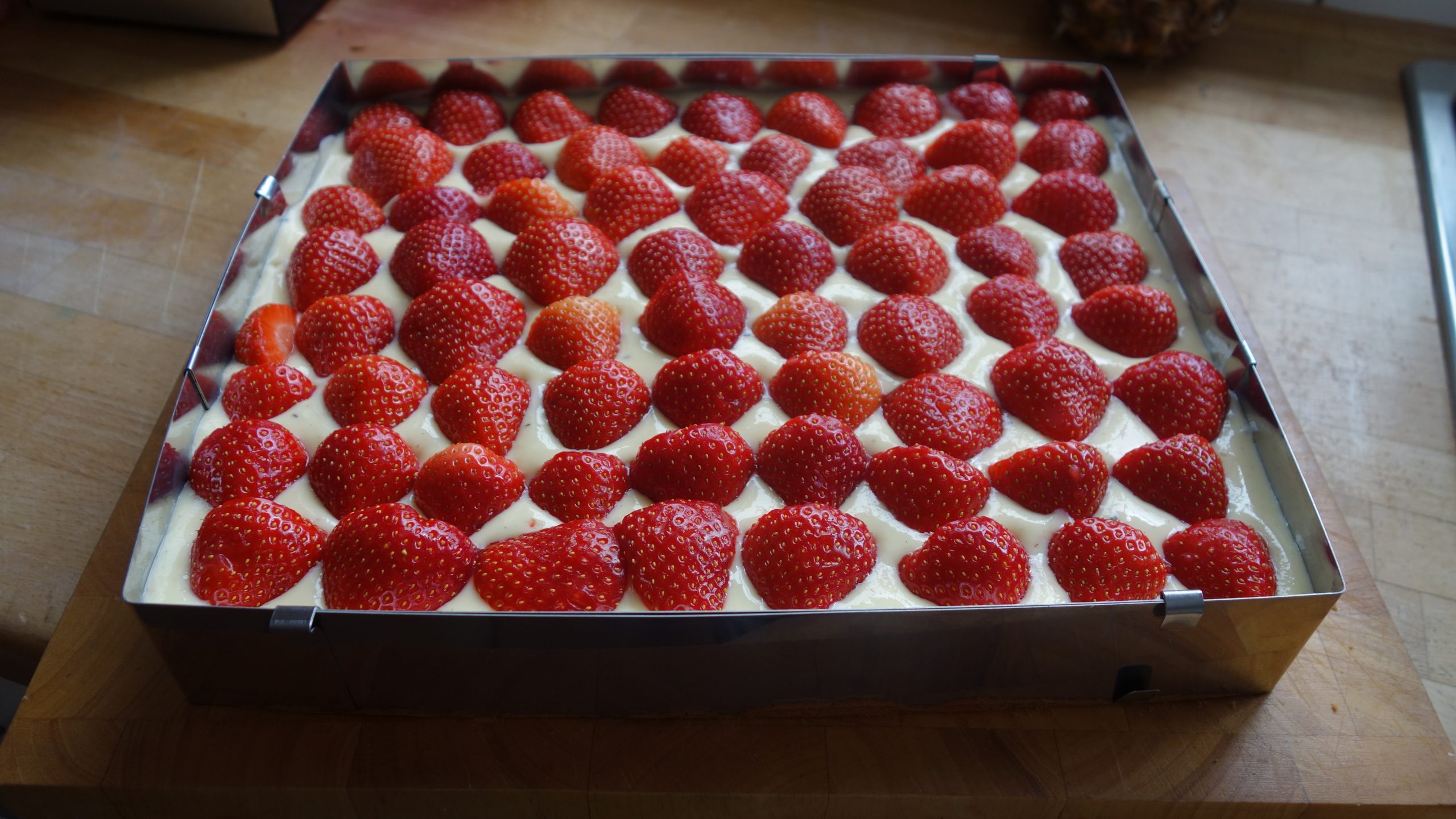 Die vorbereiteten Erdbeeren auf dem Pudding verteilen und leicht eindrücken. 